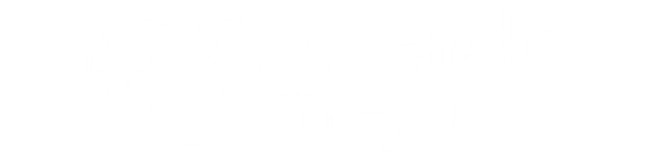 Viviendo Mejor Argentina